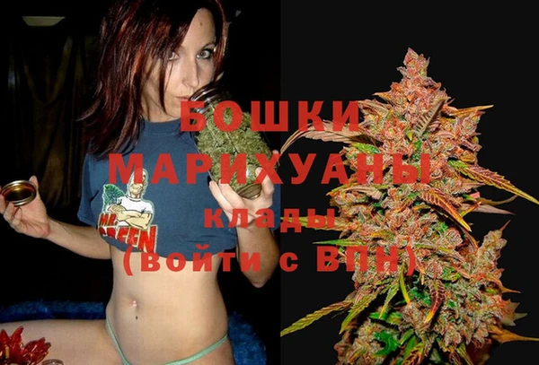 мдпв Пестово