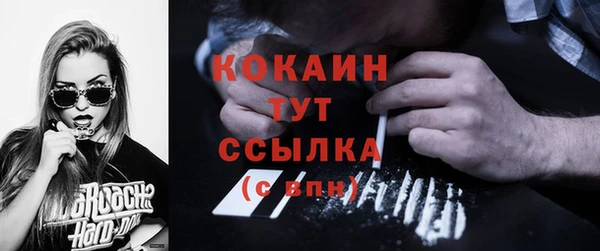 мдпв Пестово