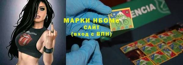 мдпв Пестово