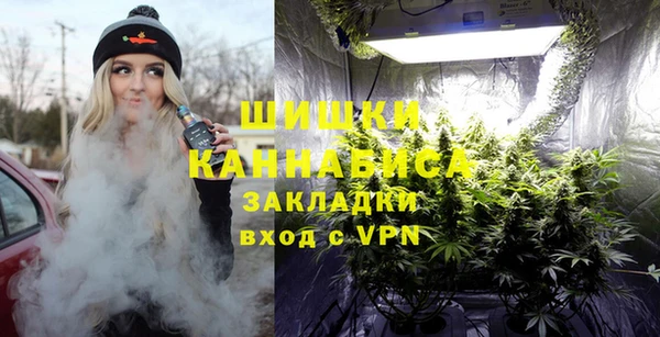 мдпв Пестово