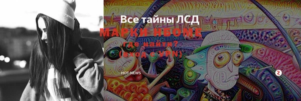 мдпв Пестово