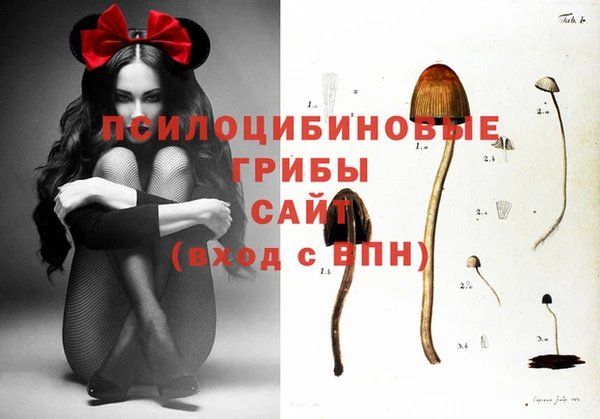 молекула духа Покровск