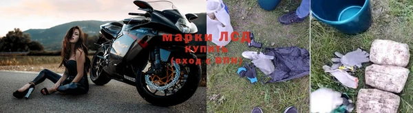 мдпв Пестово