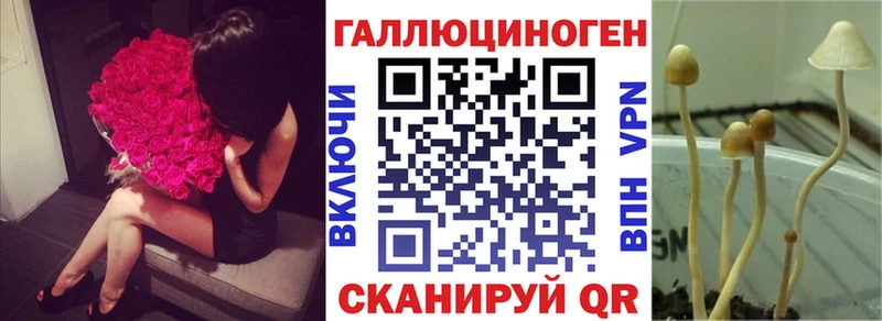 Псилоцибиновые грибы прущие грибы Агрыз